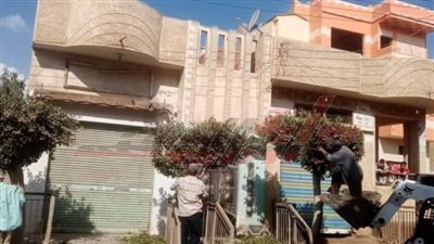 انطلاق حملات قص وتهذيب الأشجار بكفر الشيخ 