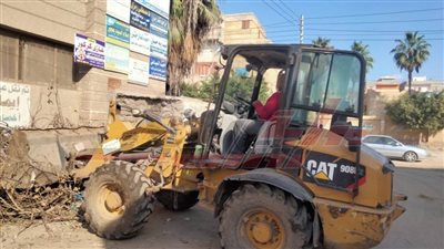 حملات نظافة مكبرة بمحافظة كفر الشيخ 