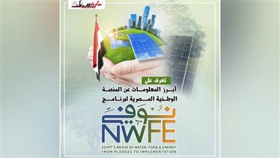 أبرز المعلومات عن المنصة الوطنية المصرية لبرنامج 