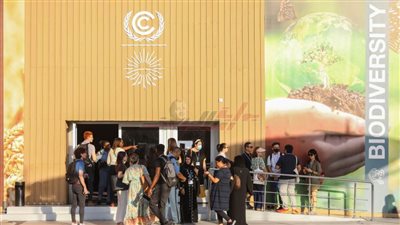    المنطقتان الخضراء والزرقاء تتألقان كنموذجين للتوافق البيئي المستدام قبل استقبالهما فاعليات cop27