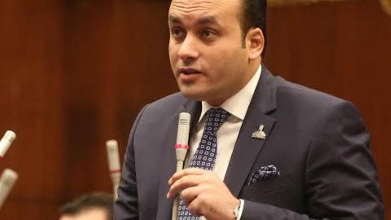 النائب عمرو فهمي