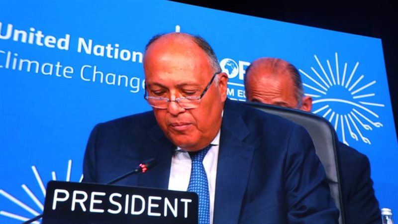 انتخاب شكري رئيسا