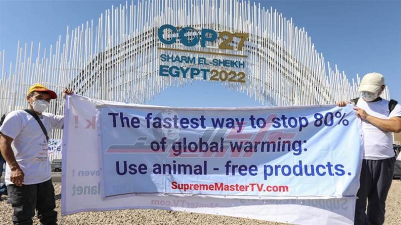 النباتيون يحملون