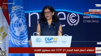 Cop27| بالفيديو.. كلمة رئيس جامعة لندن للاقتصاد والعلوم السياسية أمام قمة المناخ 