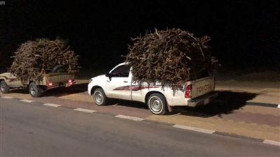 ضبط 18 مخالفا بيئيا بالسعودية بحوزتهم كمية من الحطب المحلي