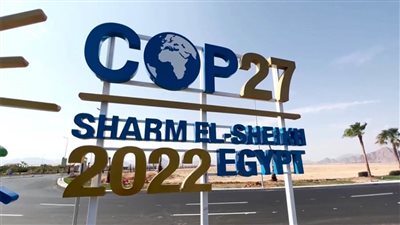 شبكة إفريقية: الدول النامية حققت نصرًا بوضع قضية 