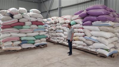 شون محافظة البحيرة تستقبل 55480 طن أرز منذ بداية الموسم حتى اليوم