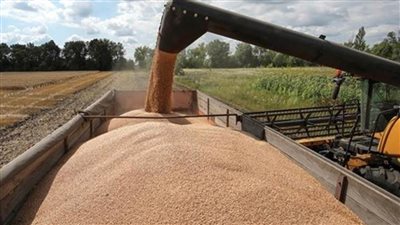 فنلندا: سنساعد في نقل الحبوب الأوكرانية إلى القرن الإفريقي