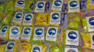 فى 17 محافظة.. تعرف علي أبرز فعاليات وأنشطة حزب مستقبل وطن الخدمية اليوم