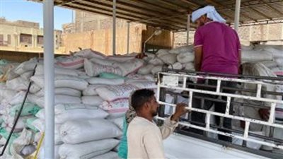 تموين الغربية تضبط 4 أطنان ملح مجهول المصدر بالغربية