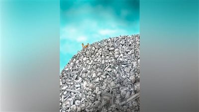 #الريشة_في_مواجهة_التغيرات_المناخية 