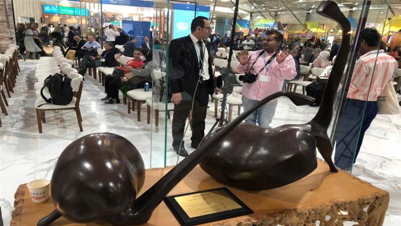 الجناح المصري بـCOp27