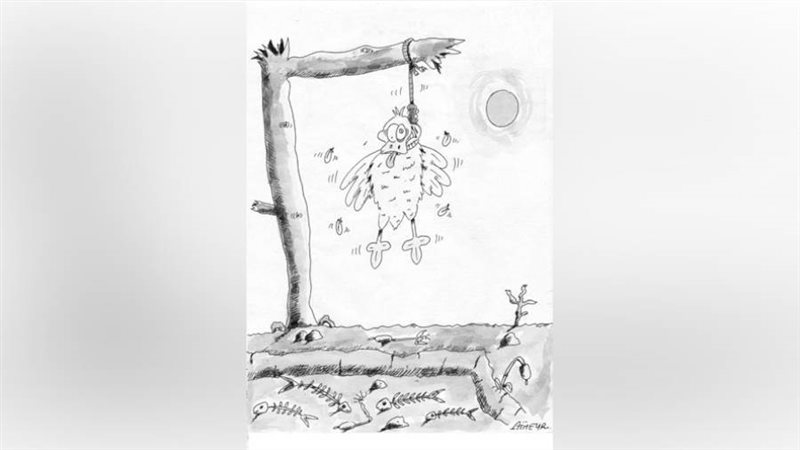 بوابة روز اليوسف