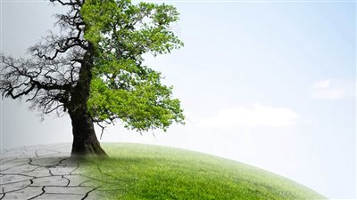 الإمارات في مواجهة التغير المناخي.. التزام تام محلياً وإسهام بارز عالمياً