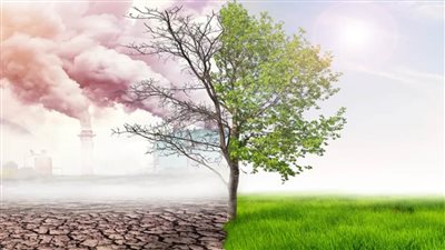 ذا هيل: إبرام اتفاقية الميثان العالمية يمكن أن يحول دون وقوع كارثة مناخية