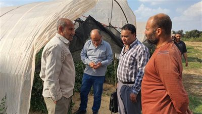 التفتيش على تراخيص الصوب الزراعية بالإسماعيلية وشروط استخراجها 