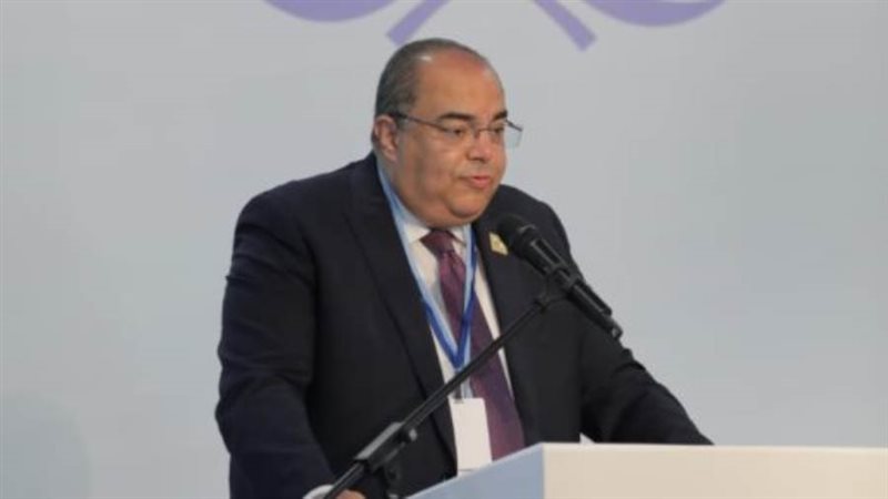 محمود محيي الدين