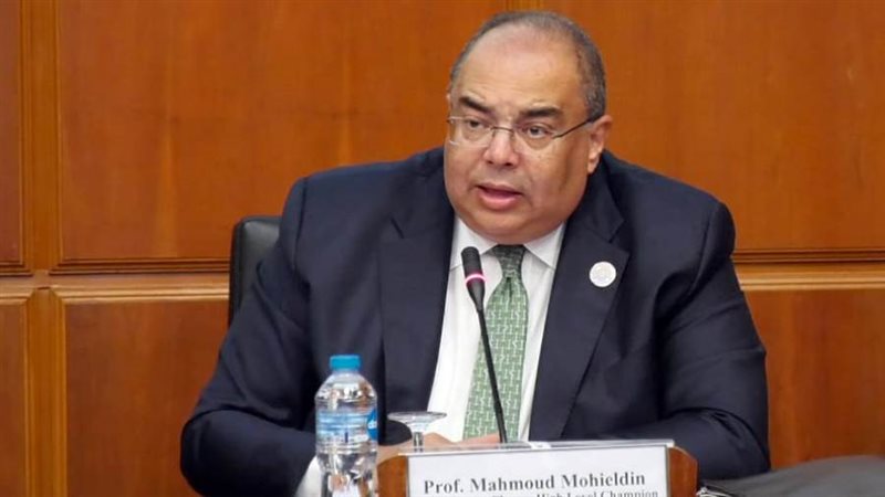 د. محمود محيي الدين