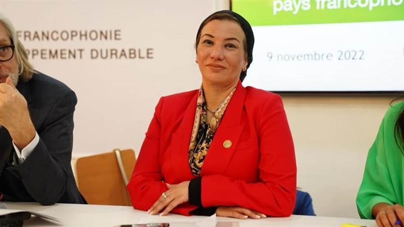 الدكتورة ياسمين فؤاد