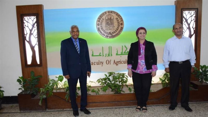 نائب رئيس الجامعة