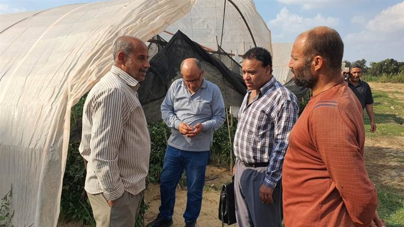 التفتيش على تراخيص