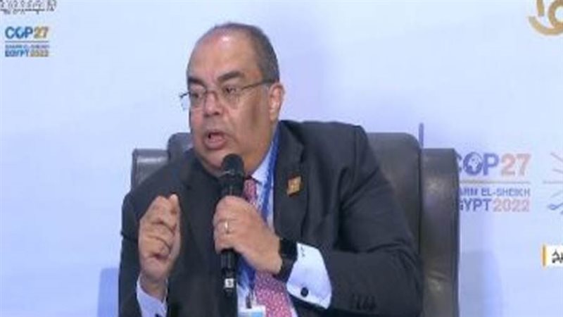 الدكتور محمود محيي