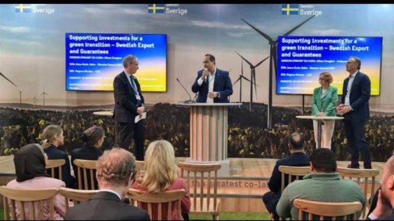 رئيس الرعاية الصحية