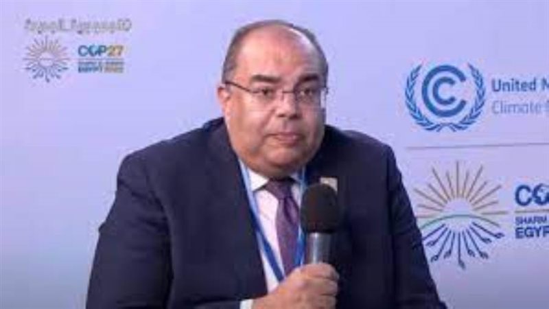 الدكتور محمود محيي