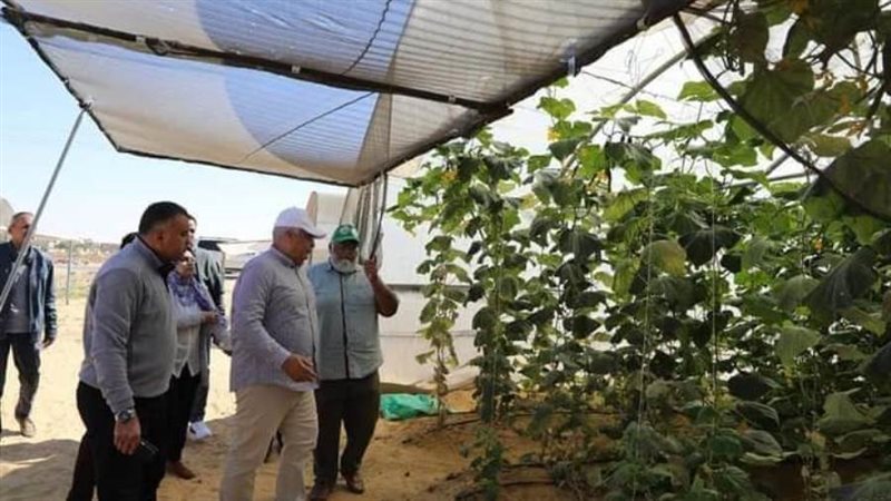 مشروعات صوب زراعيه