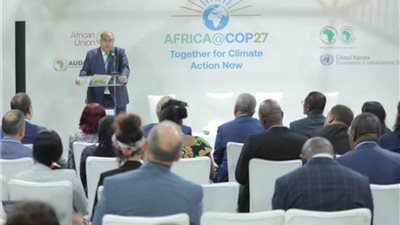  رائد المناخ للرئاسة المصرية يشيد بإطلاق مبادرتي الغذاء والزراعة والابتكار الزراعي للمناخ