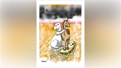 #الريشة_في_مواجهة_التغيرات_المناخية 