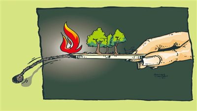 #الريشة_في_مواجهة_التغيرات_المناخية 