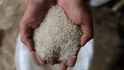 محافظ الغربية: توريد 33 ألفا و960 طن أرز حتى الآن