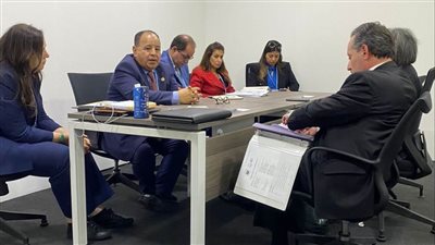 وزير المالية: مصر حريصة على تشجيع القطاع الخاص المحلي والأجنبي للتوسع في الاستثمارات الخضراء