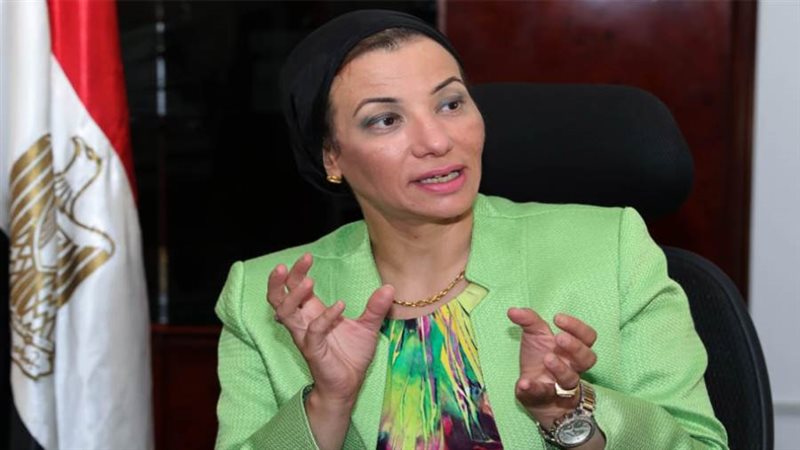 د. ياسمين فؤاد وزيرة