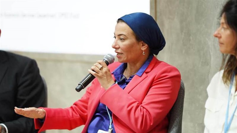 د. ياسمين فؤاد وزيرة