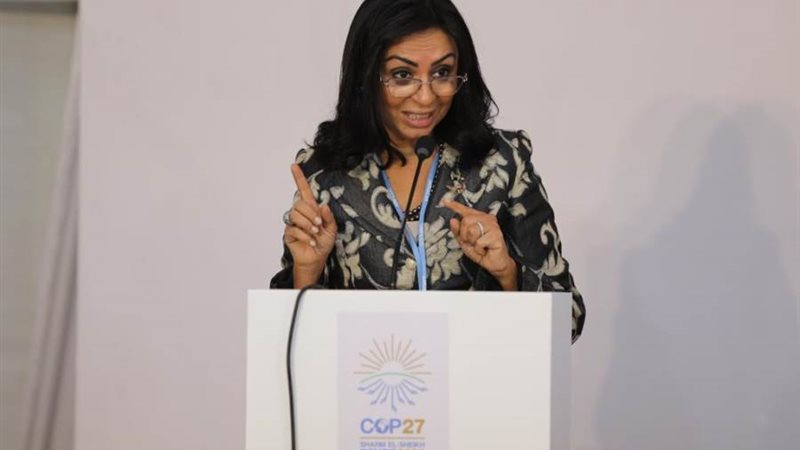 الدكتورة مايا مرسي