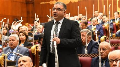 برلمانى بالقليوبية يطالب بترشيد نفقات المكاتب الفنية للبعثات الدبلوماسية بالخارجية 