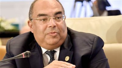 محيي الدين: التحول نحو قطاع طاقة نظيف ومستدام أمر ضروري لتحقيق النمو الاقتصادي