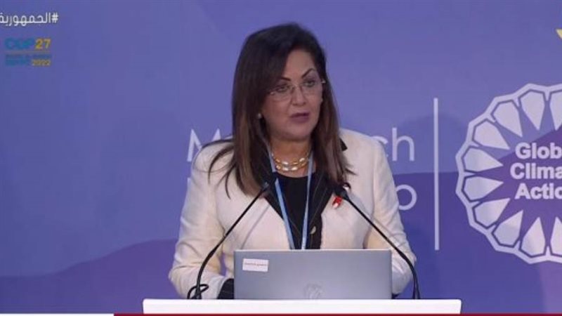 وزيرة التخطيط