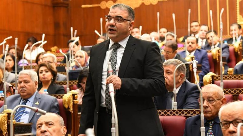 النائب سيد حجازى