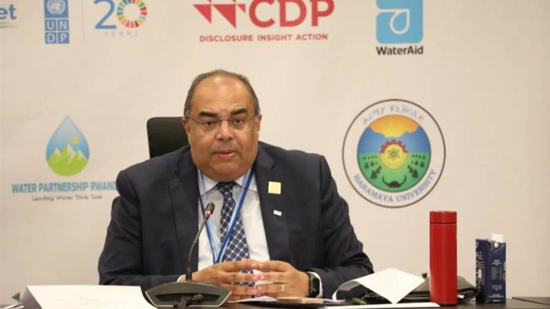 الدكتور محمود محيي