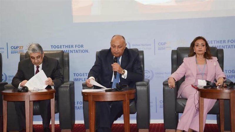 سامح شكري من جلسة