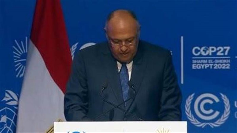 سامح شكري وزير الخارجية