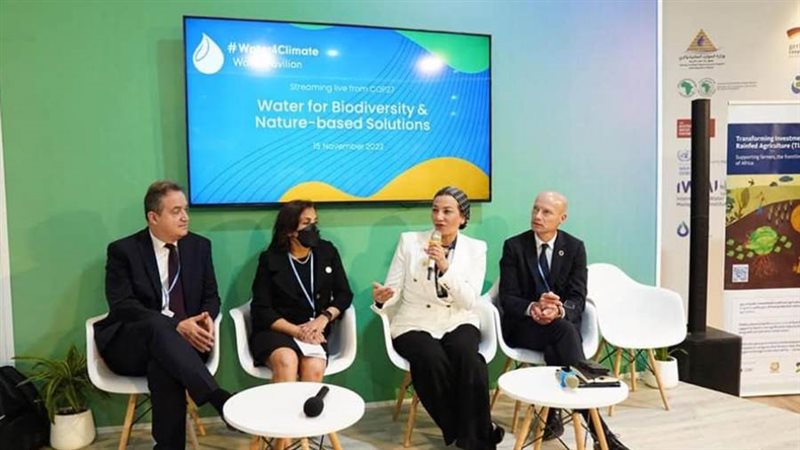 قمة المناخ COP27