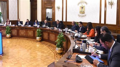 عاجل| رئيس الوزراء يعقد اجتماعا لبحث مستجدات تطوير مجمع الألومنيوم بنجع حمادي