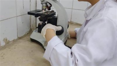 صحة المنيا: إجراء 55 ألف تحليل بمعامل المستشفيات 