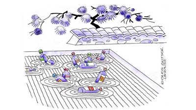 #الريشة_في_مواجهة_التغيرات_المناخية 