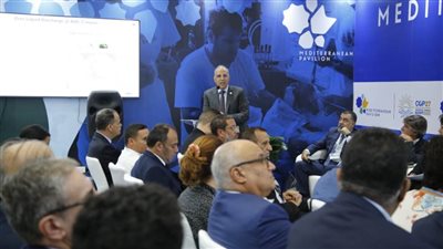 وزير الري يؤكد أهمية التفات المجتمع الدولي لمفهوم 