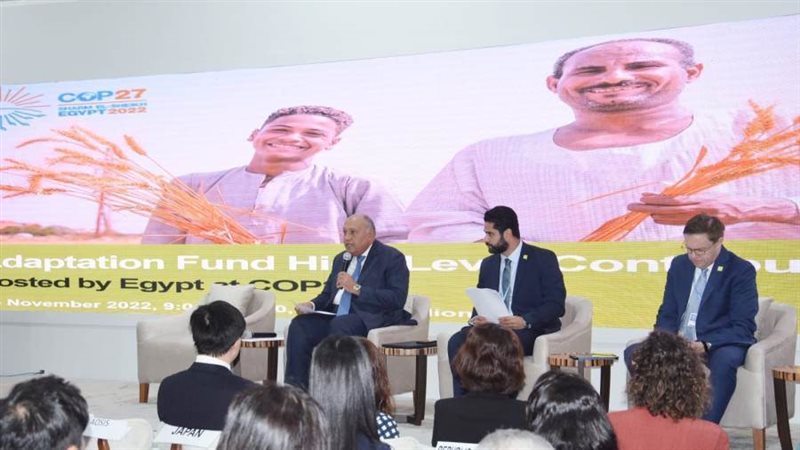 جانب من مشاركة شكري